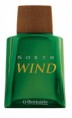 North wind 100ml